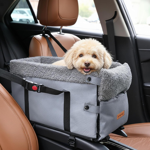 Center console dog car - console,