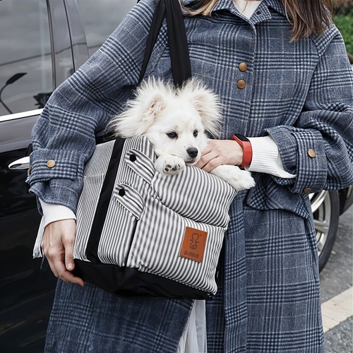 Pet dog car - pet, booster