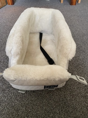 Center console dog - dog, car